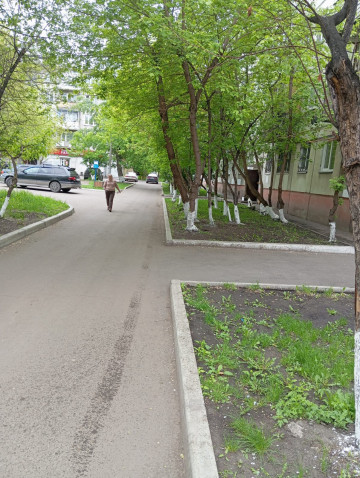 побелка деревьев кустарников во дворах наших домов